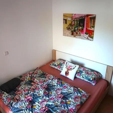 Munida Apartment Medulin
