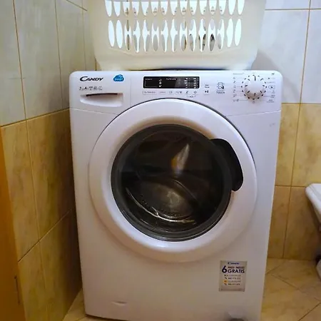 Munida